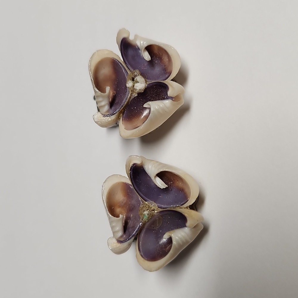 Seashell Earrings